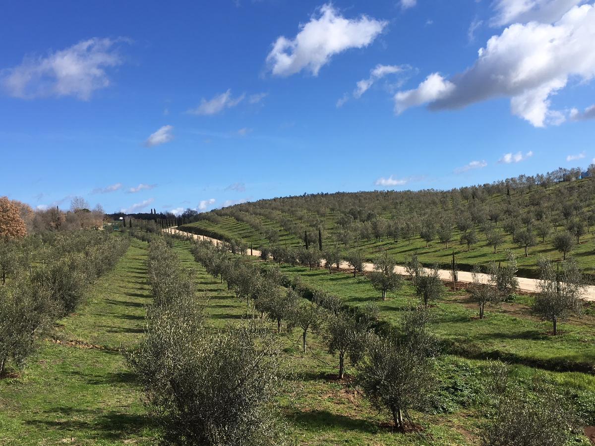 Il Podere Di Marfisa Farnese Buitenkant foto