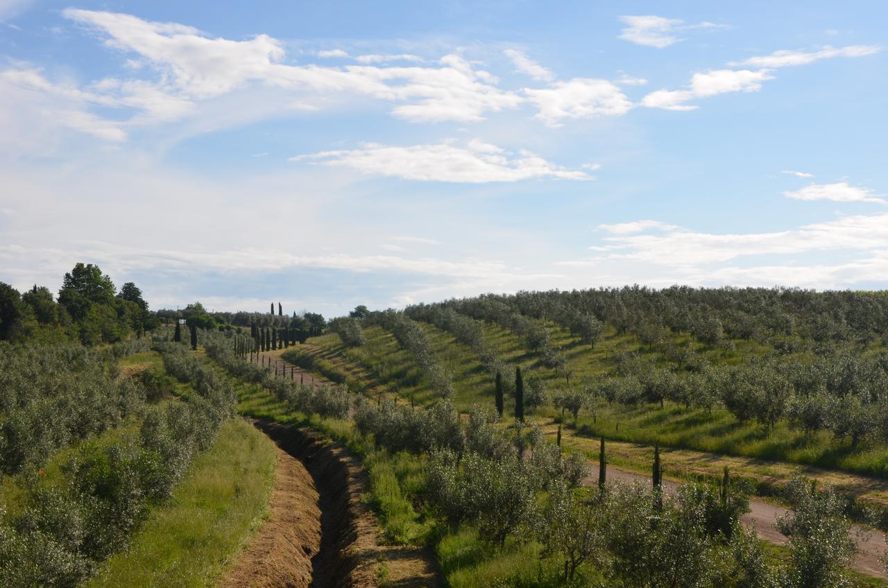 Il Podere Di Marfisa Villa Farnese Buitenkant foto